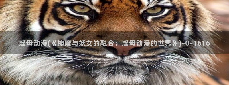 动漫免费在线观看：淫母动漫(《神魔与妖女的融合：淫母动漫的世界》)