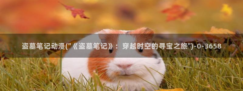 动漫排行榜：盗墓笔记动漫(\