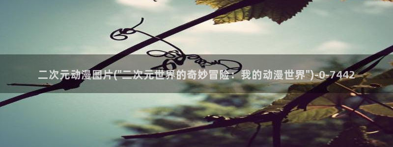 动漫小说：二次元动漫图片(\