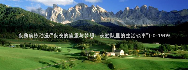 动漫肉片